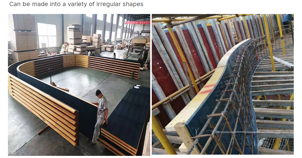 фото_20240809162227