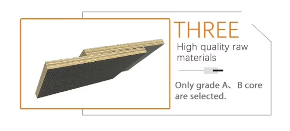 фото_20240815151109