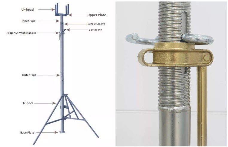 фото_20221121135356